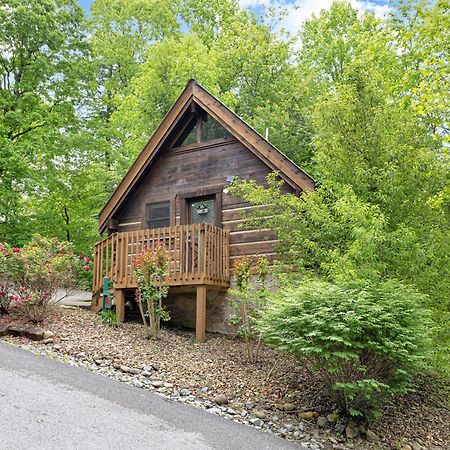 Cozy Cabin! Hot Tub, King Bed, Fireplace, & Pool Gatlinburg Exterior foto